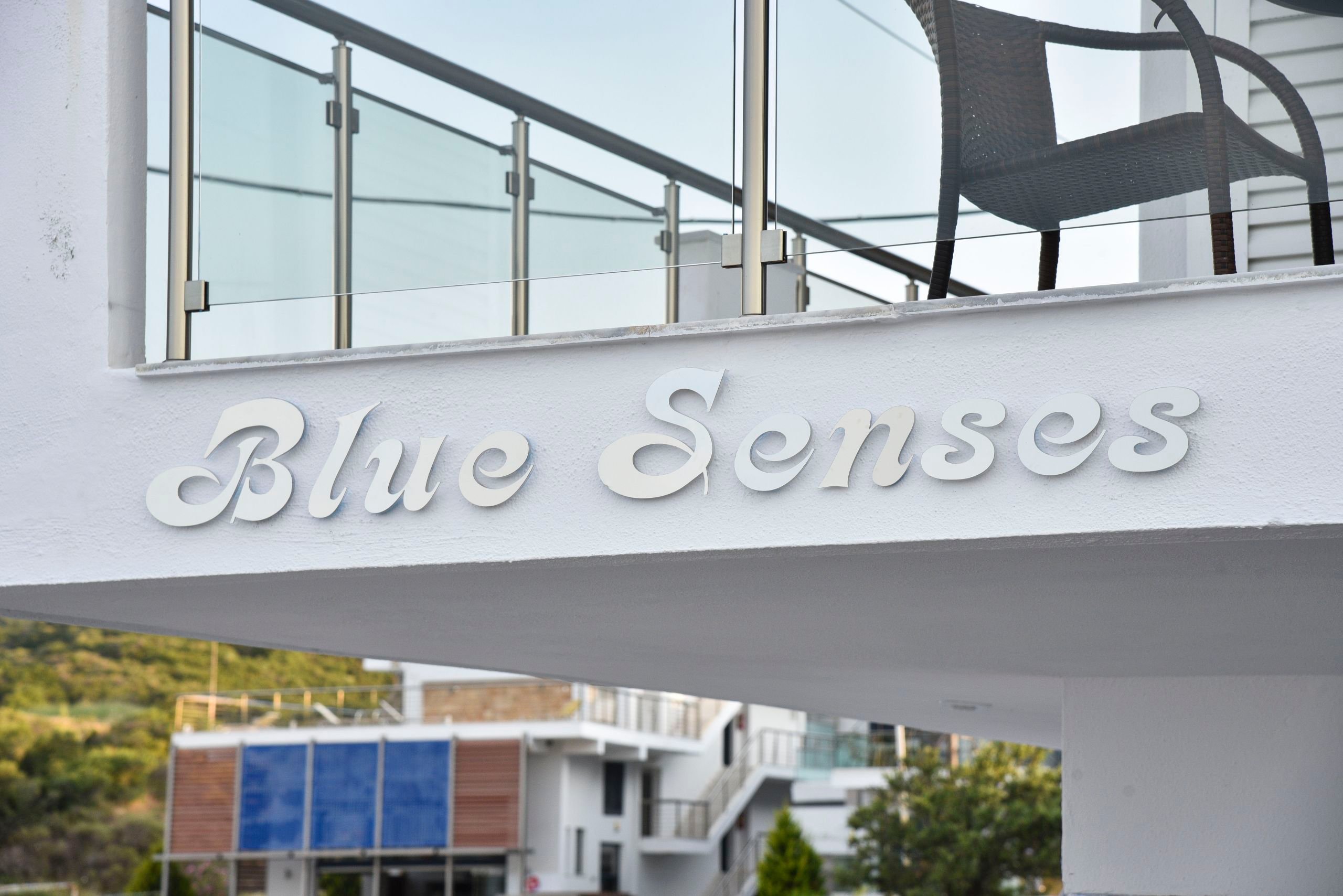 Blue Senses-官方