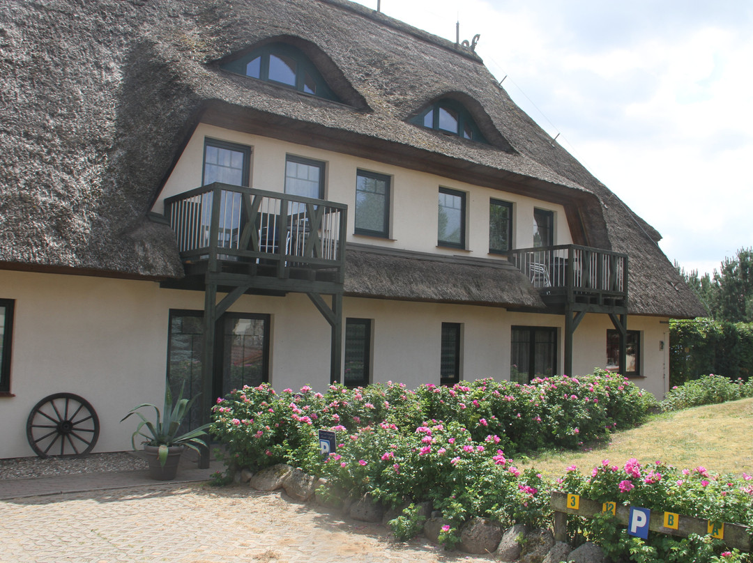 Kur & Landhotel Borstel-Treff主图