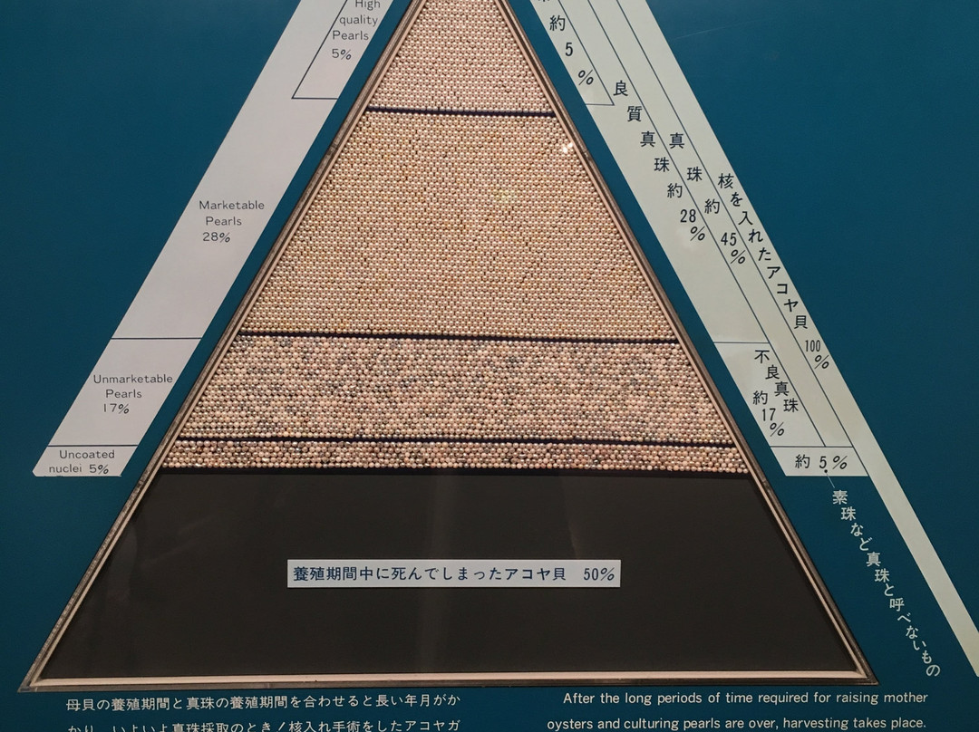 Iseshima Pearl Museum-鸟羽市必去景点