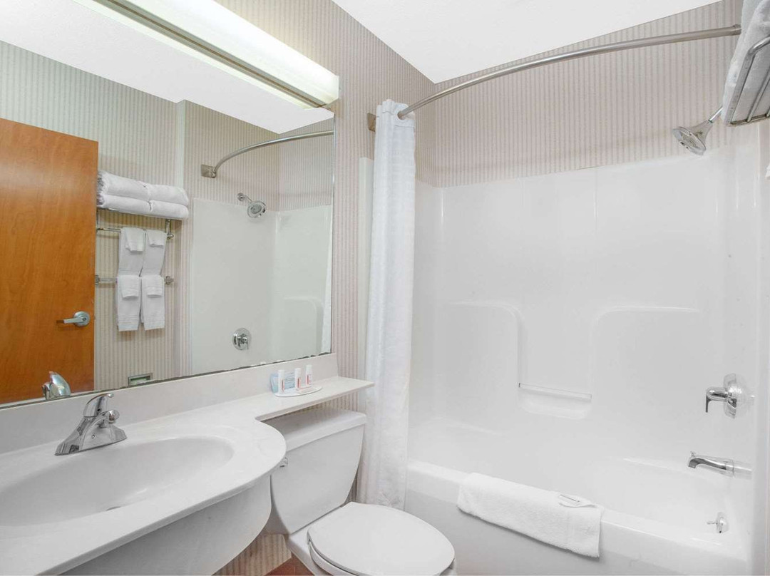 Microtel Inn & Suites by Wyndham Springville主图