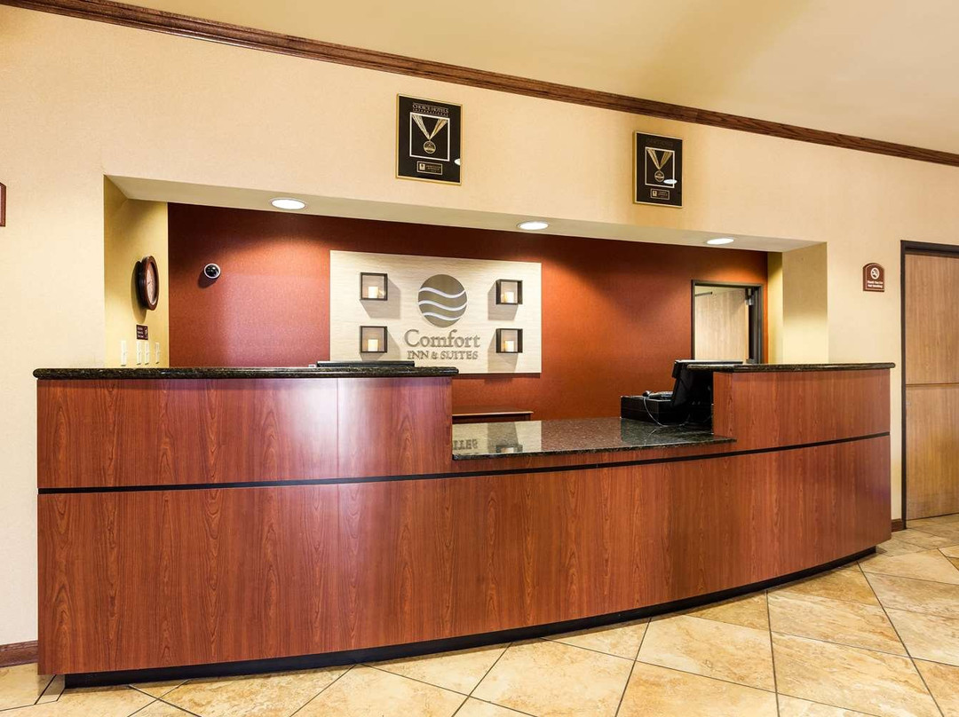 Comfort Inn and Suites主图