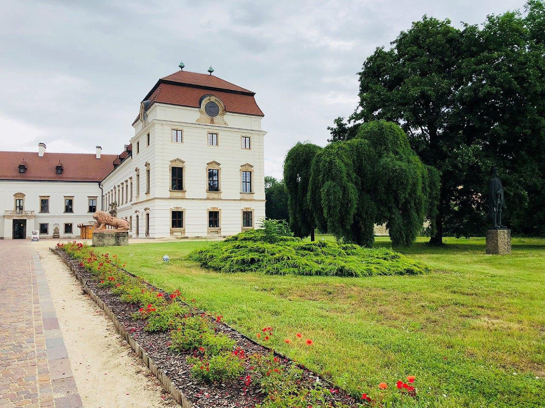 Esterhazy Castle景点图片