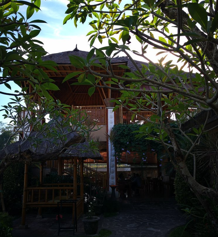 Bromelia Bali Tour & Transport Service - Day Tours-乌布必去景点