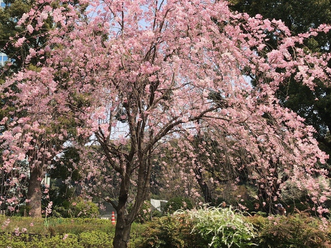Prince Shiba Park景点图片