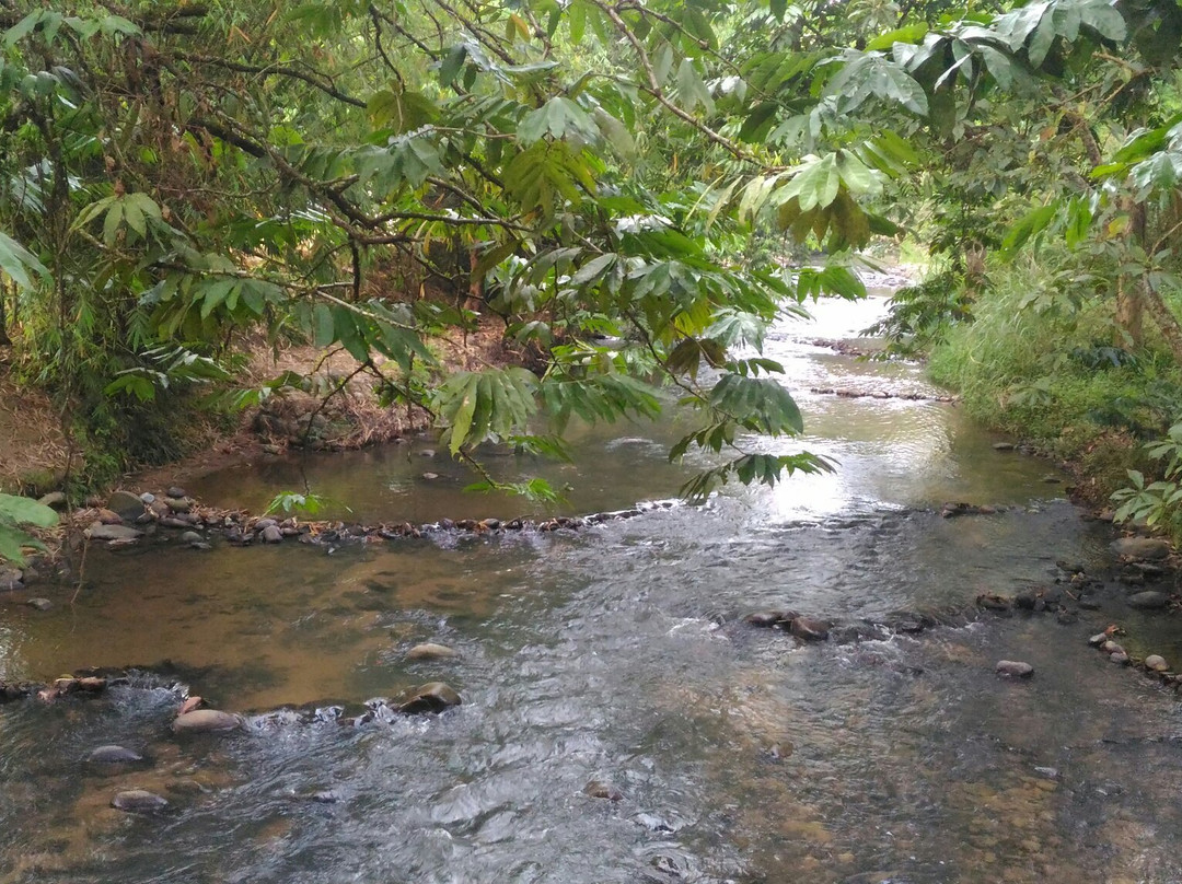 Riverside Janda Baik-武吉丁宜高原必去景点