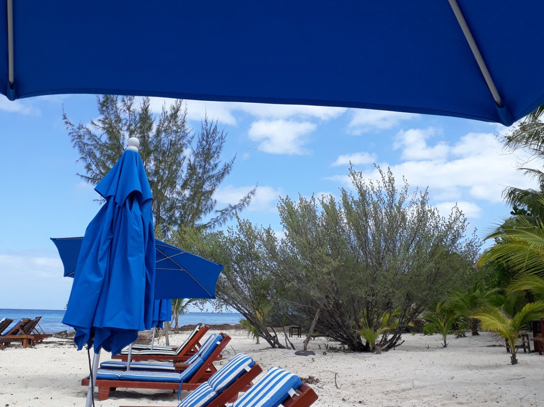 Playa Palancar Cozumel Beach Club景点图片
