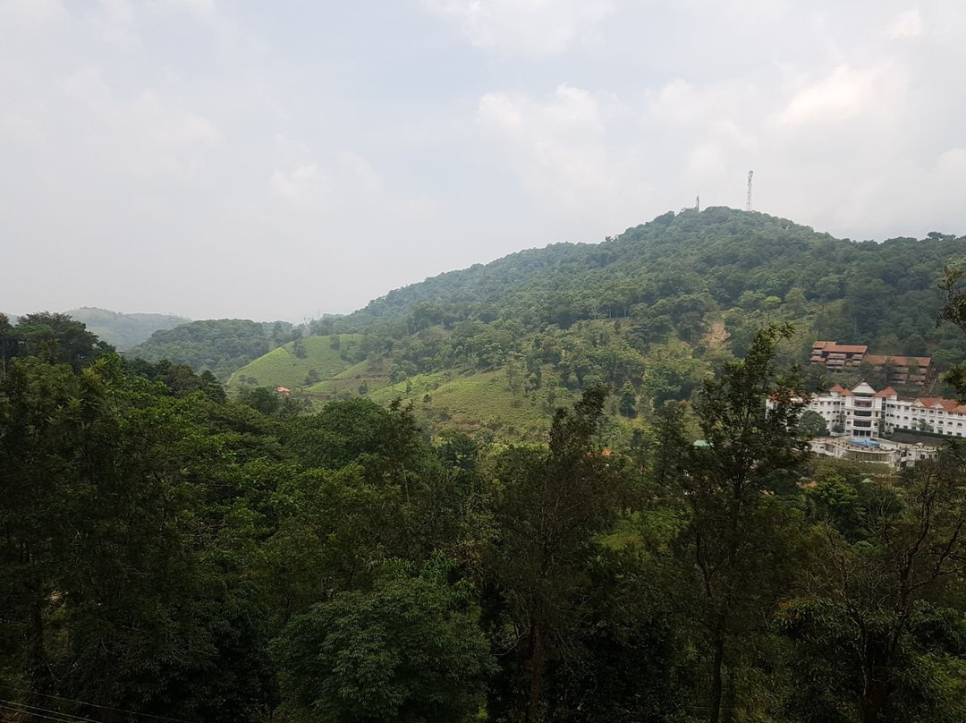 Relax Zones Wayanad