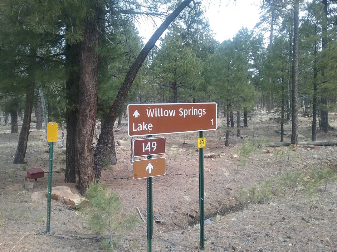 Willow Springs Lake-Forest Lakes必去景点