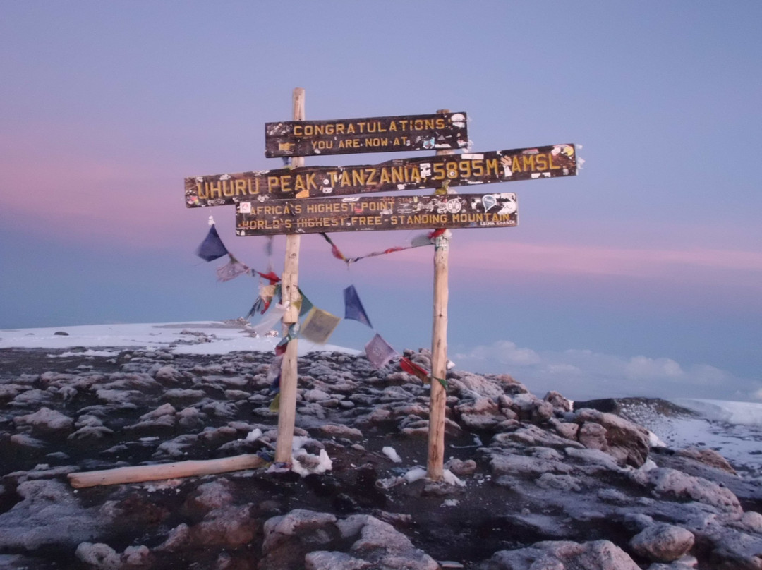 Dare 2 Travel Consultants-阿鲁沙必去景点