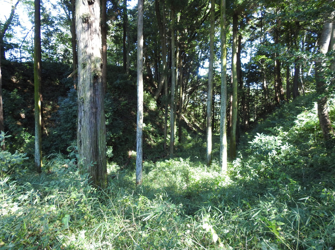 Takiyama Park, Takiyama Castle Remains景点图片