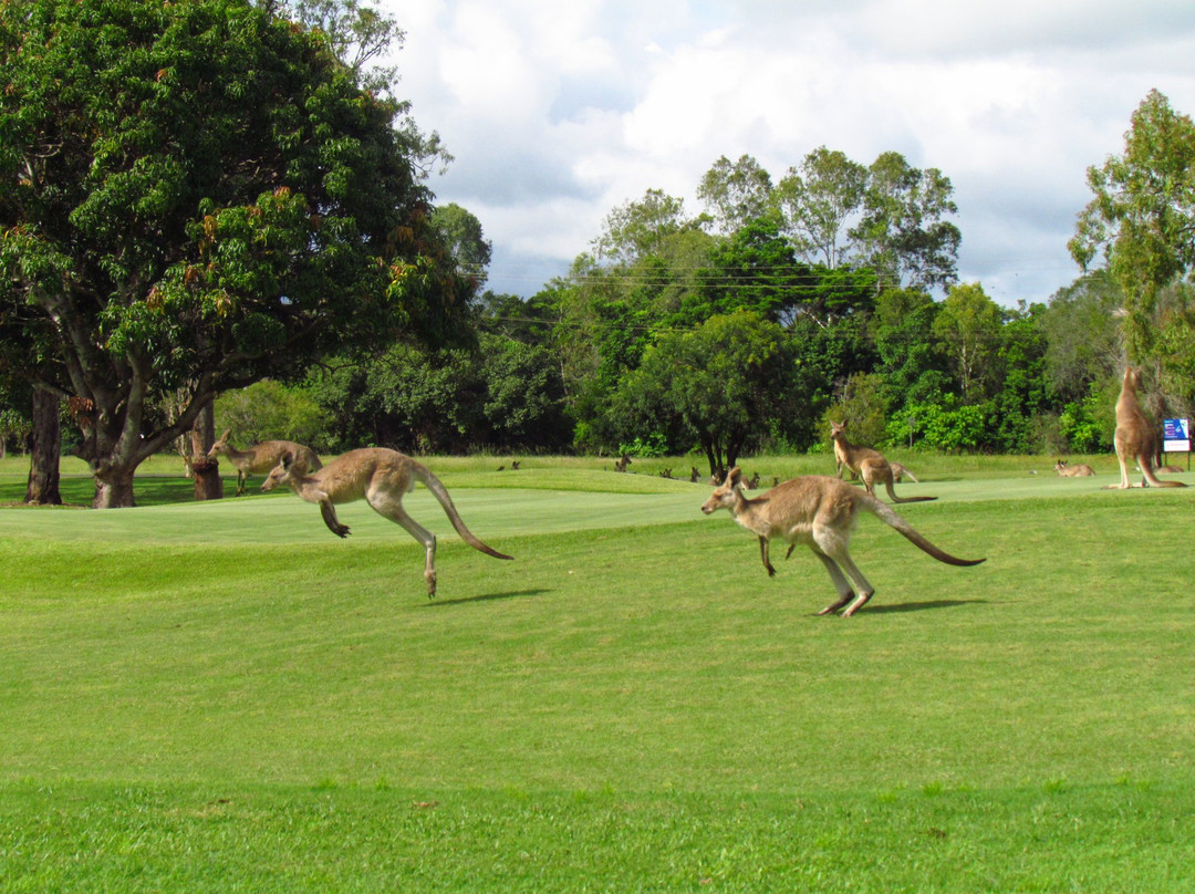 Mareeba Golf Club-马里巴必去景点