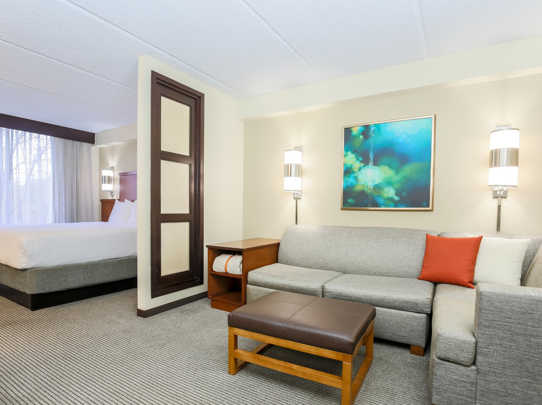 Hyatt Place Dallas/grapevine主图