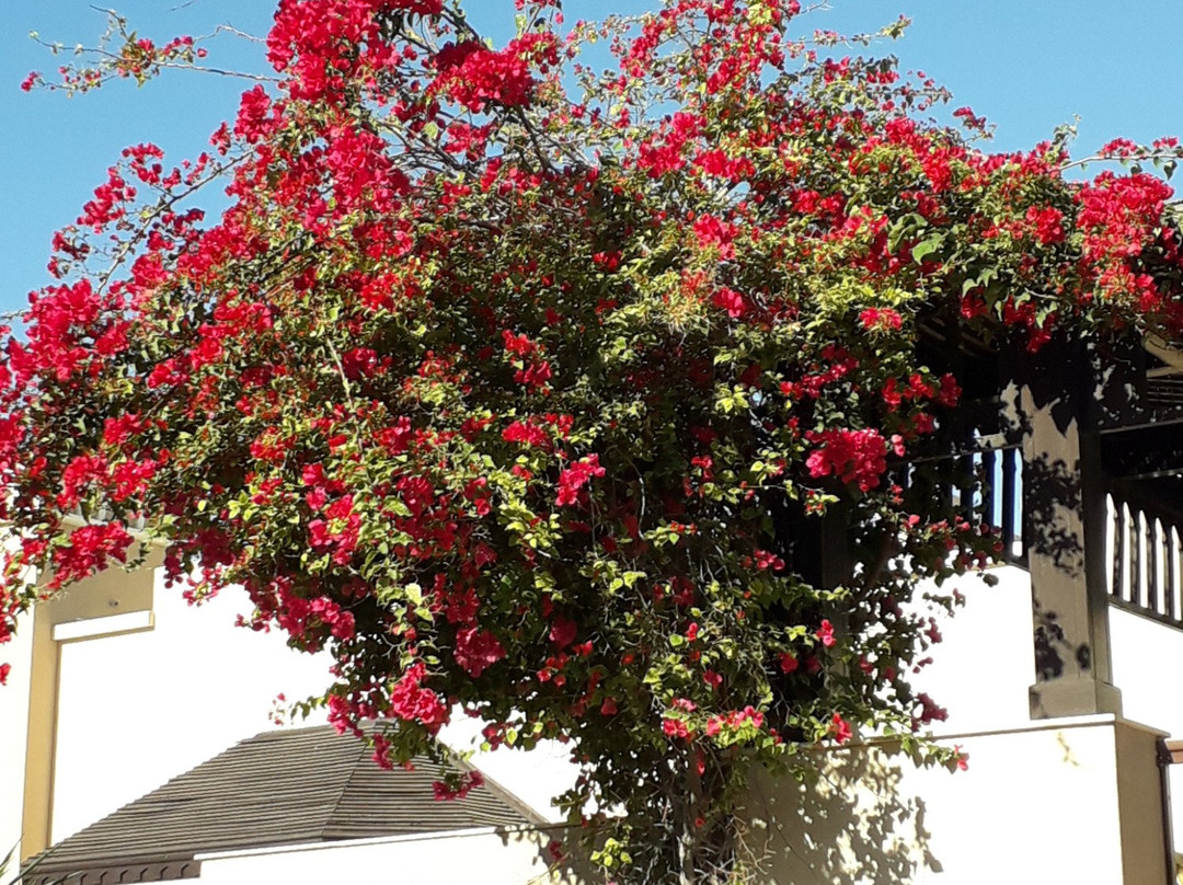 Mirage Hotel Al Aqah主图