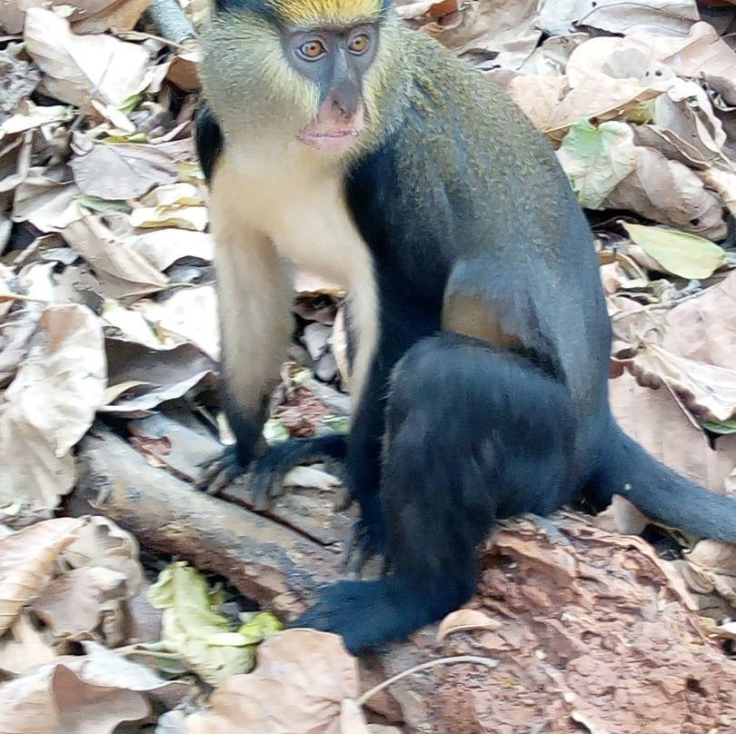 Meet Our Culture in Sognaayili-Tamale必去景点