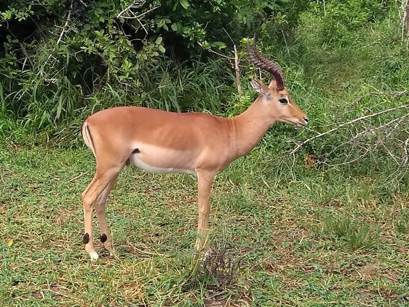 Nyasa Adventures-布兰岱必去景点