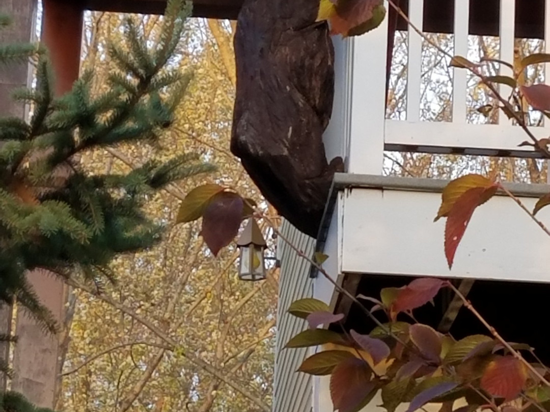 Lake Street Commons Lodging主图