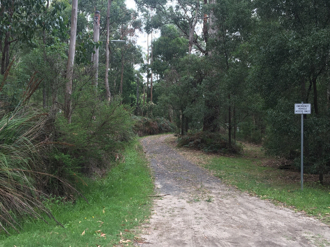 Minak Reserve-贝尔格雷夫必去景点