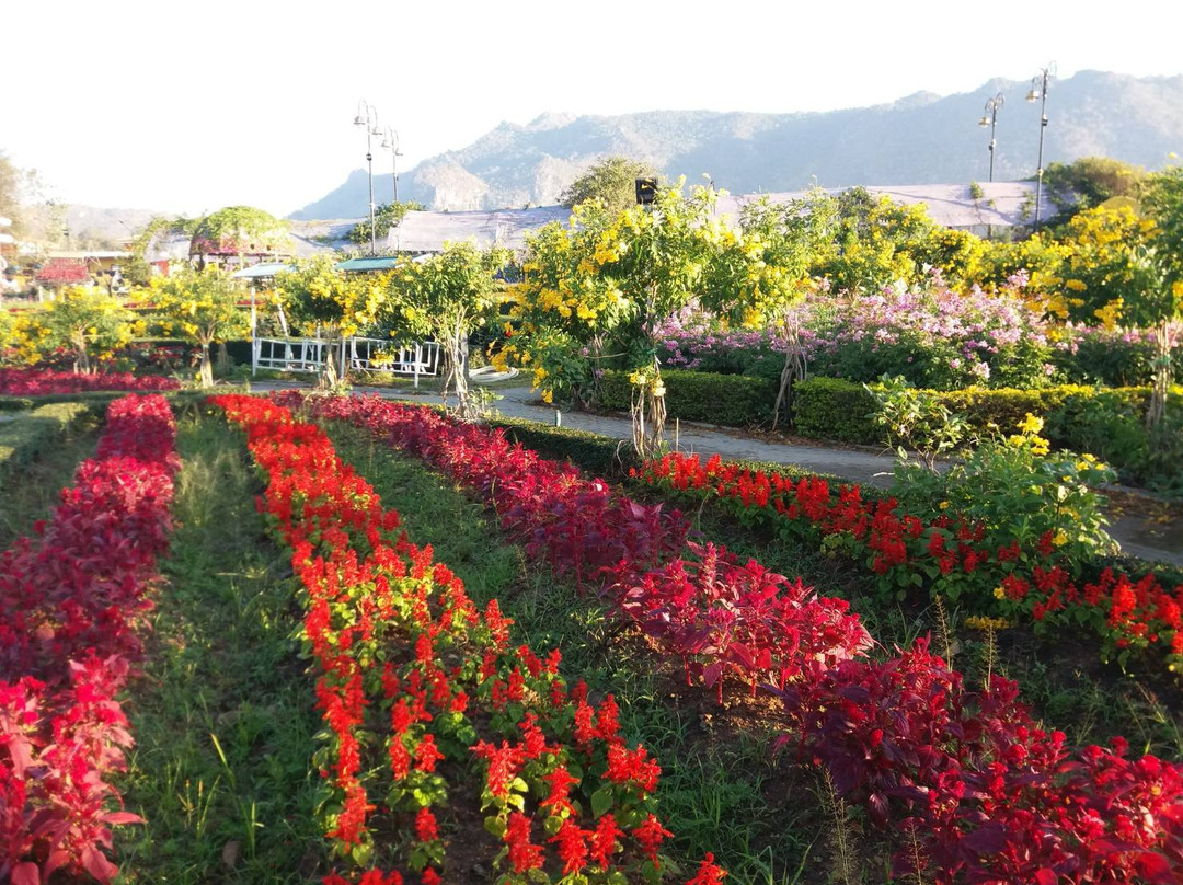 The Bloom By TV Pool景点图片