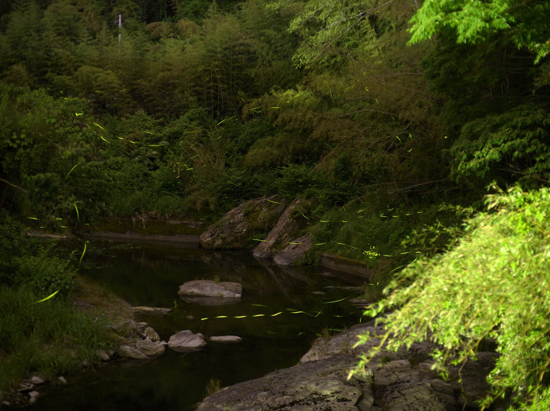 Yoshinogawa City Misato Firefly Center-吉野川市必去景点