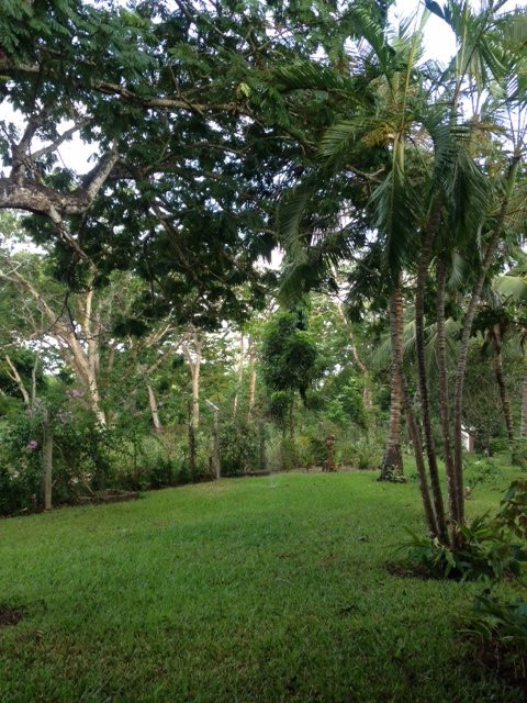 Pinewood Beach Resort and Spa主图