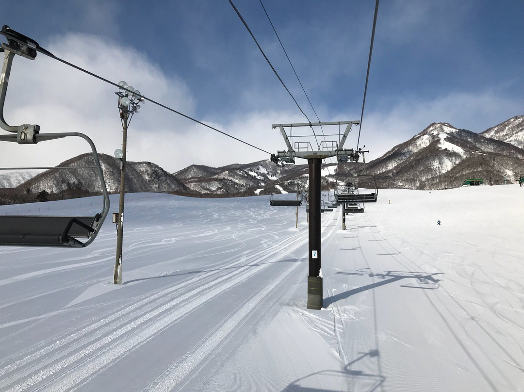 Tsugaike Kogen Ski Resort景点图片