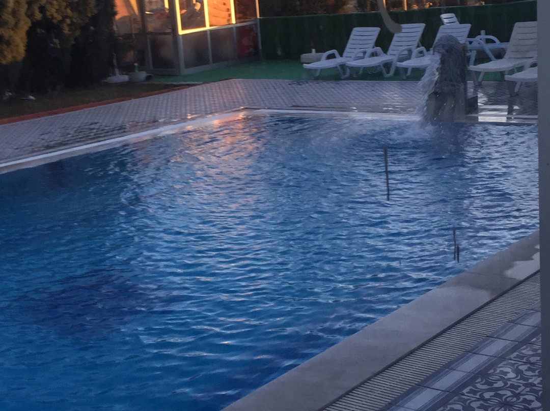 Nehir Thermal Hotel主图