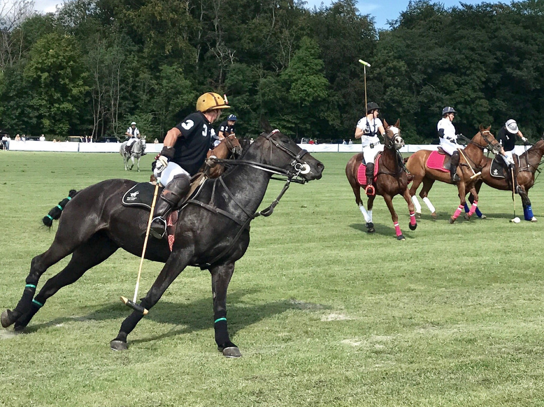 Copenhagen Polo Club景点图片