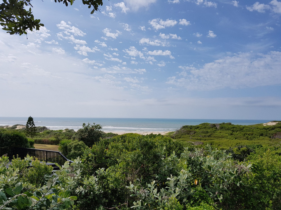 Gaestehaus Saxonia主图