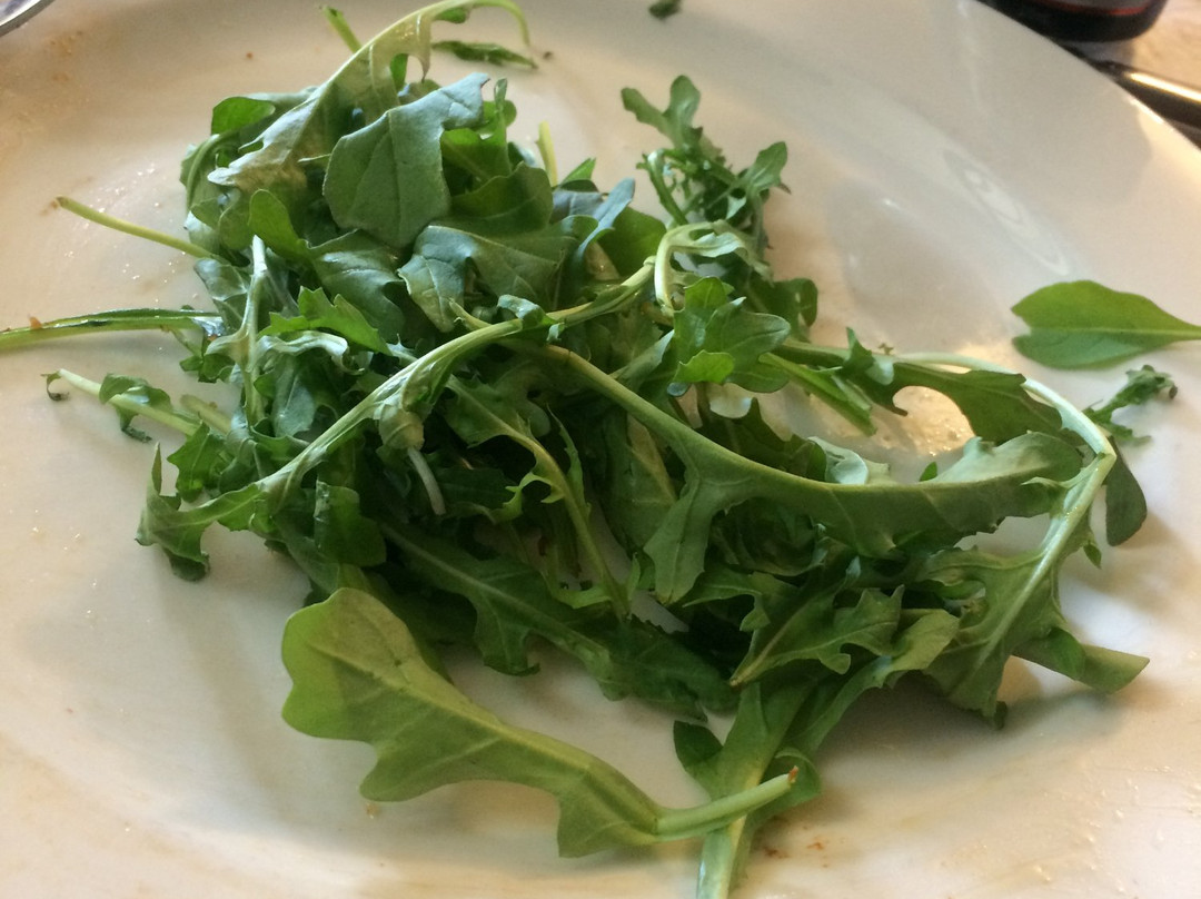 The Richmond Arms主图