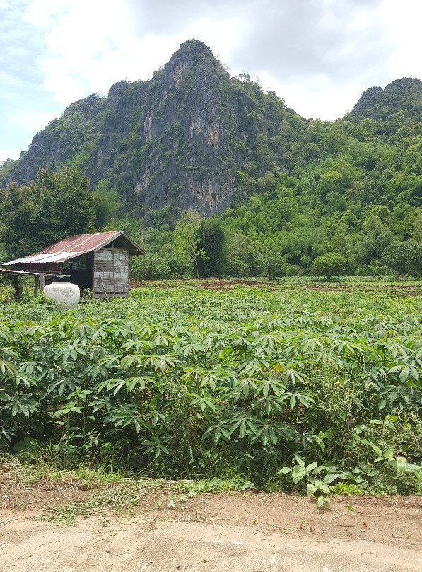 Phupha Lom Forest Park景点图片