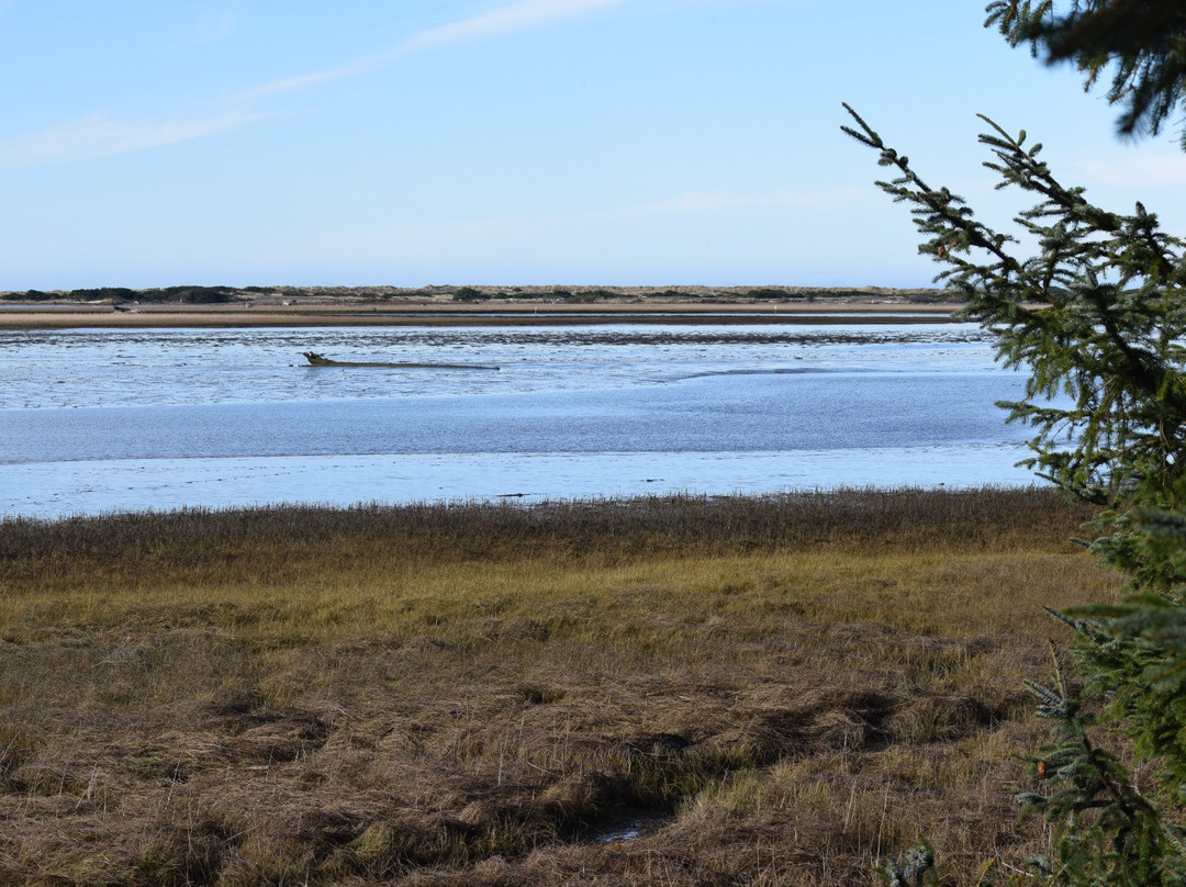 Bandon Marsh National Wildlife Refuge-班登必去景点