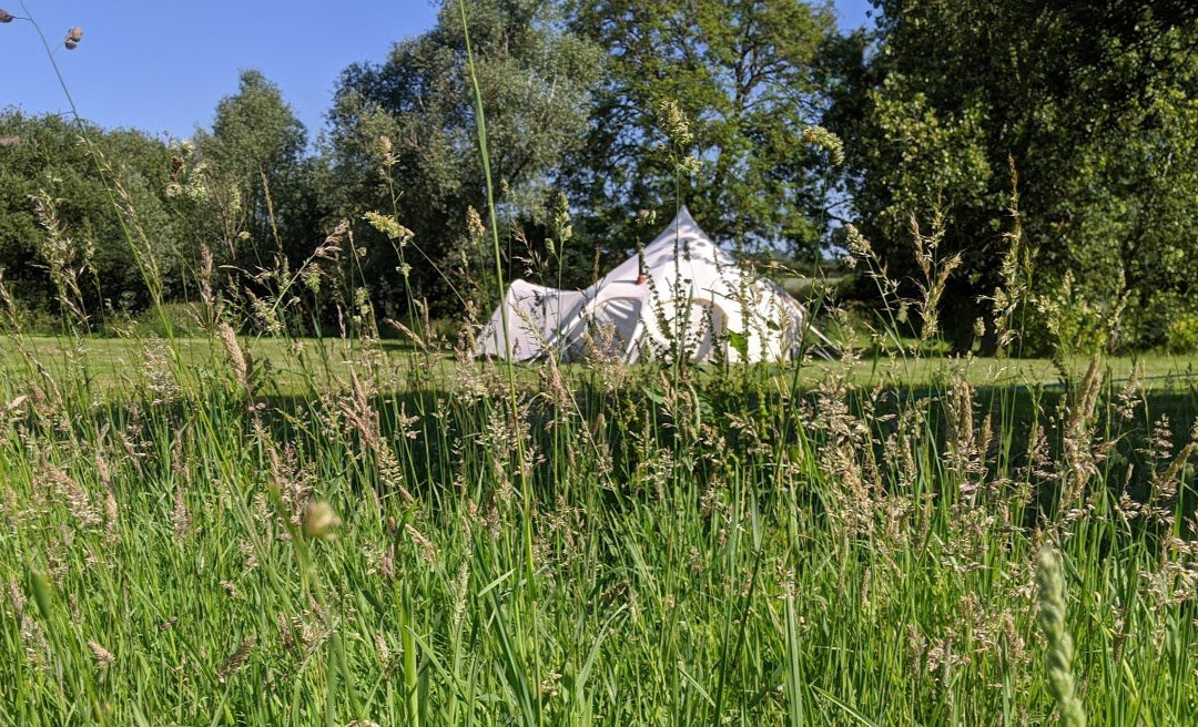 Cuckoo Farm Campsite
