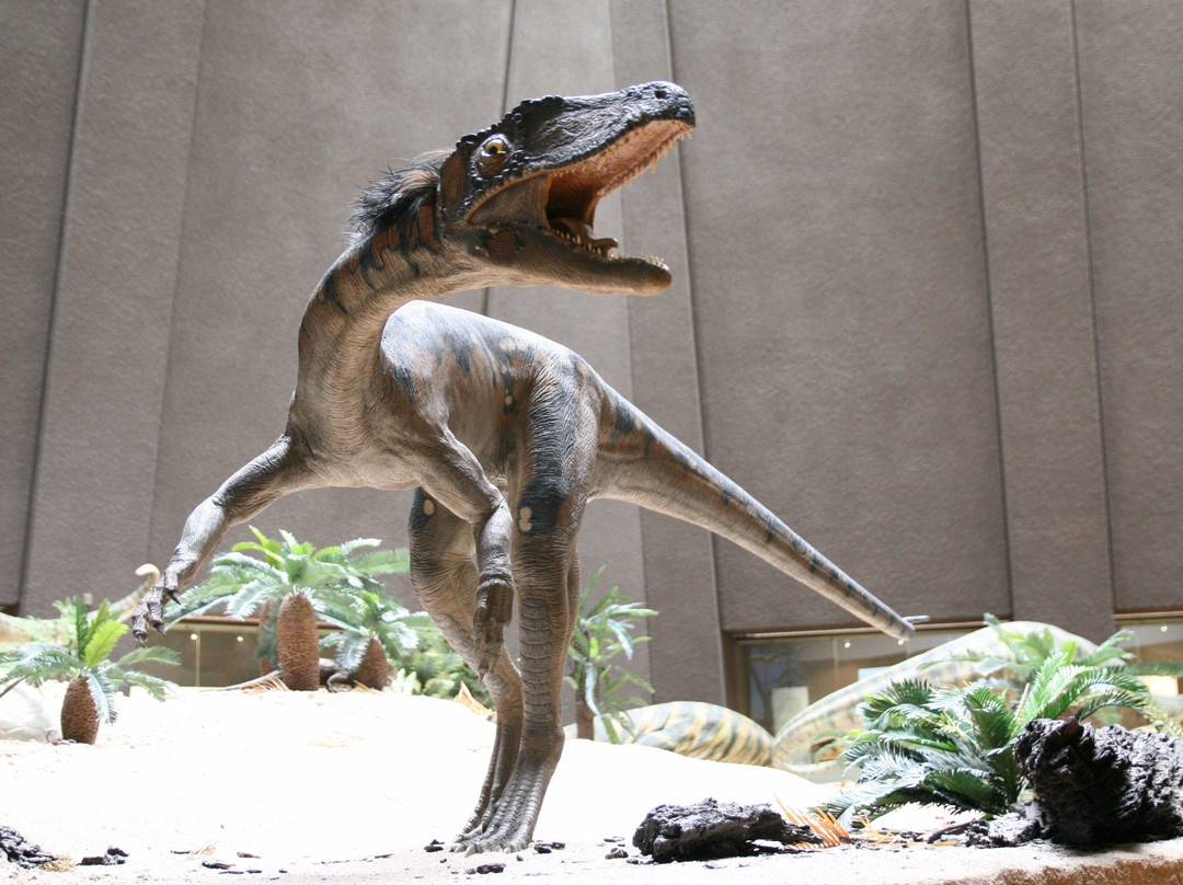 Naturkunde Museum Stuttgart-斯图加特必去景点