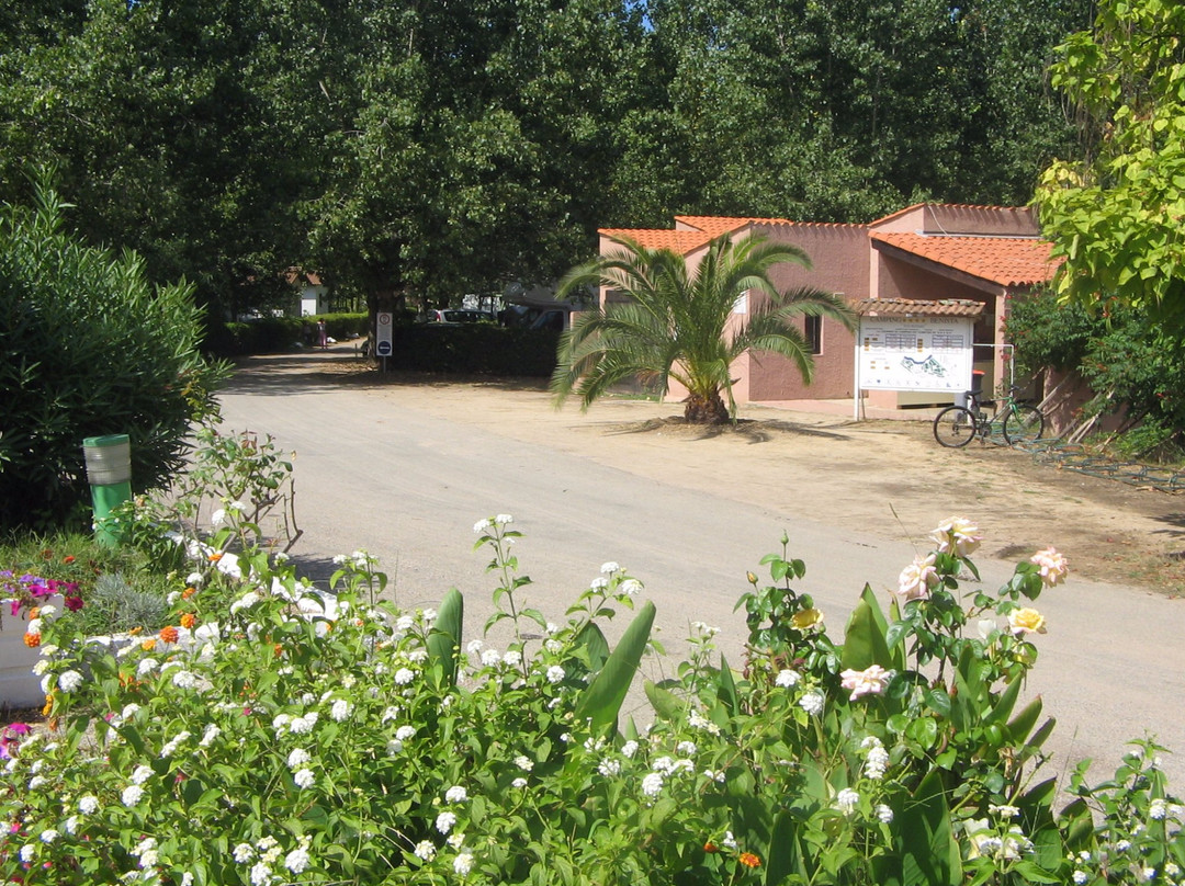 Camping Benista