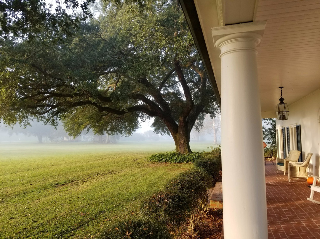 Auberge Du Chene Vert主图
