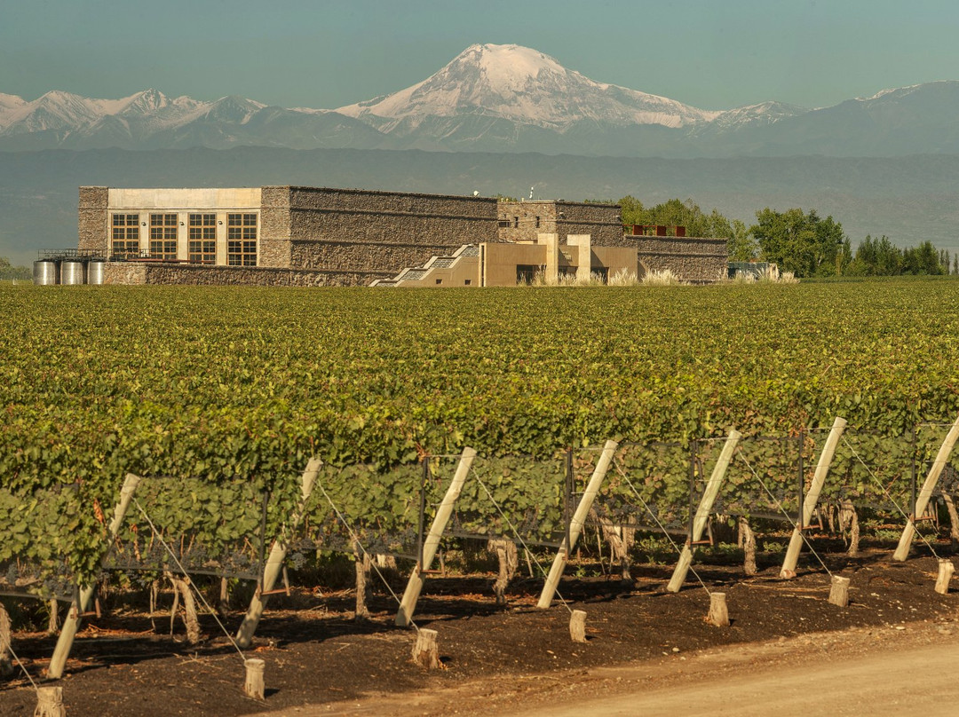 Bodega Septima - Espacio Culinario
