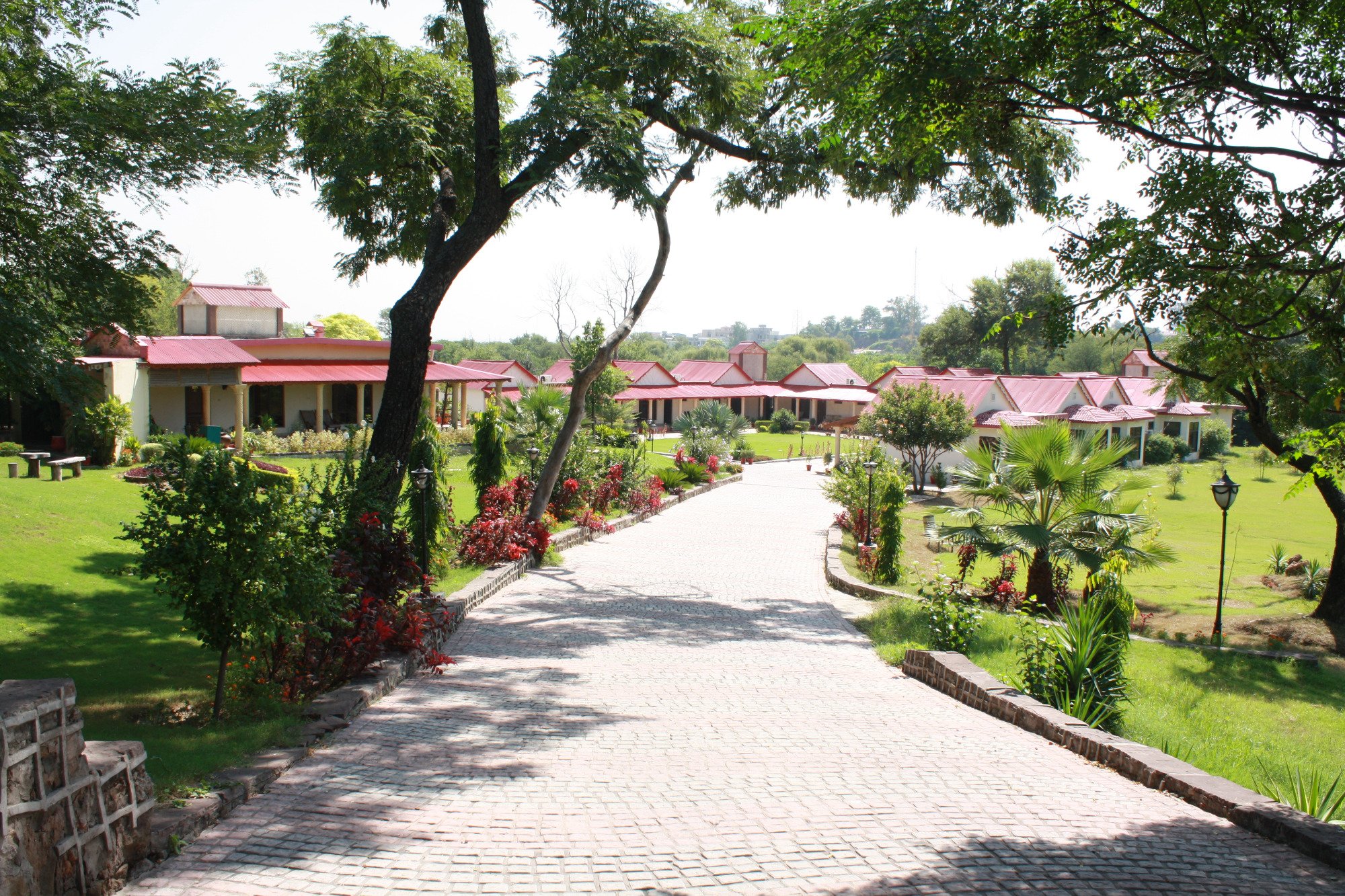 Jungle Barracks-官方
