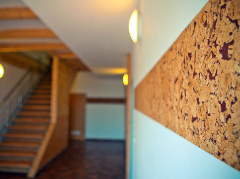 Dudestii Noi旅游攻略图片