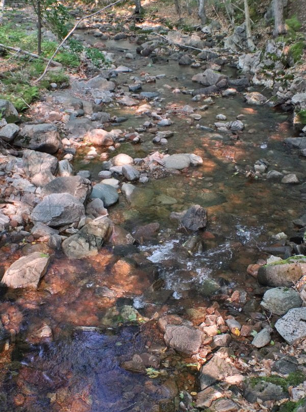 MacIntosh Brook Trail-Pleasant Bay必去景点