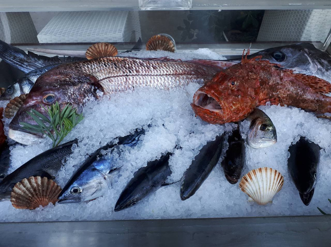 Trstenik旅游攻略图片