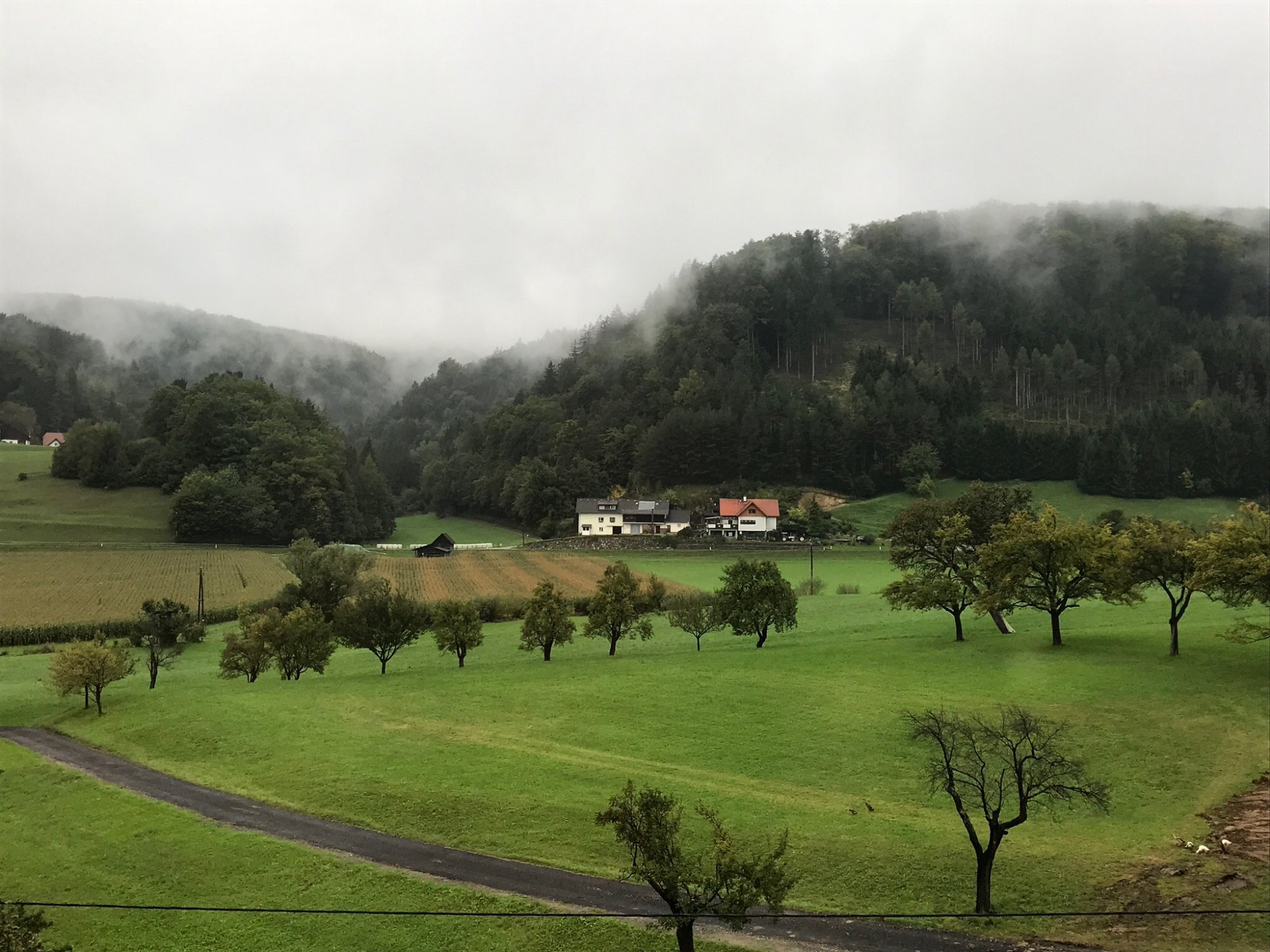 Gasthaus-Gaestehaus Schusterbauer-家庭/游戏区