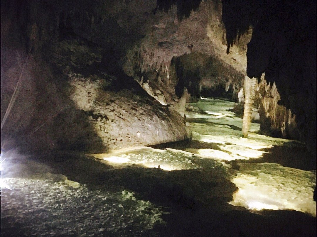Okinoerabujima Caving Gaid Union景点图片