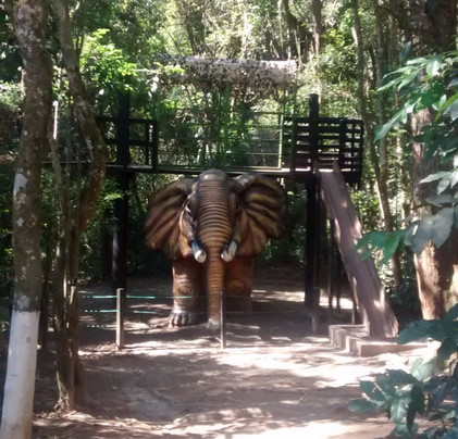 Sitiolândia-Caieiras必去景点