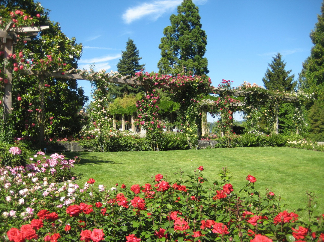 康士坦茨旅游景点-Isle of Mainau