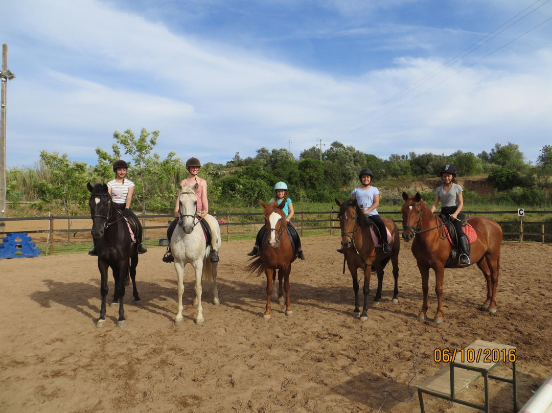 Tavira Horse Riding Quinta Beldade Stables-塔维拉必去景点