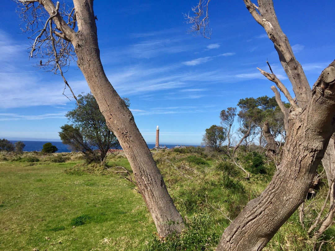 Gabo Island Lighthouse景点图片