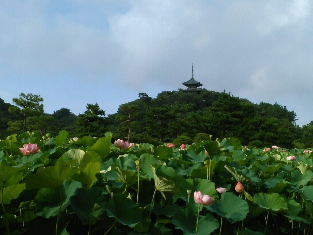 三溪园-横滨市必去景点