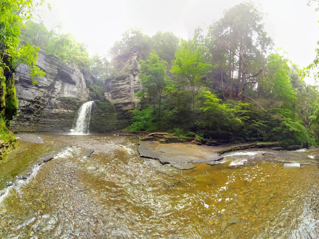 Havana Glen Park景点图片
