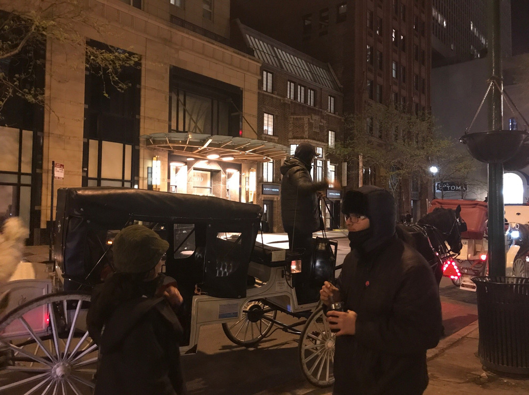 Chicago Horse and Carriage-芝加哥必去景点