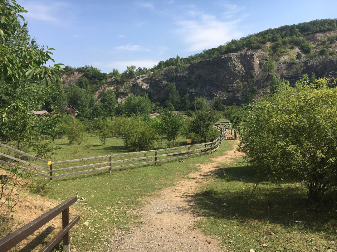 Mokra-Horakov旅游景点-Lamacentrum Hady